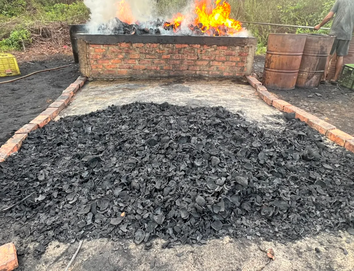 Production yard with kiln and freshly carbonized charcoal