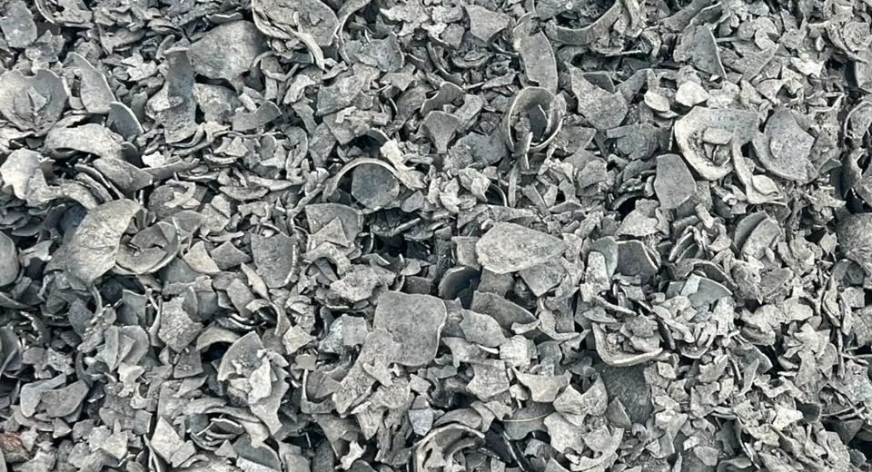Screened coconut shell charcoal in uniform pieces