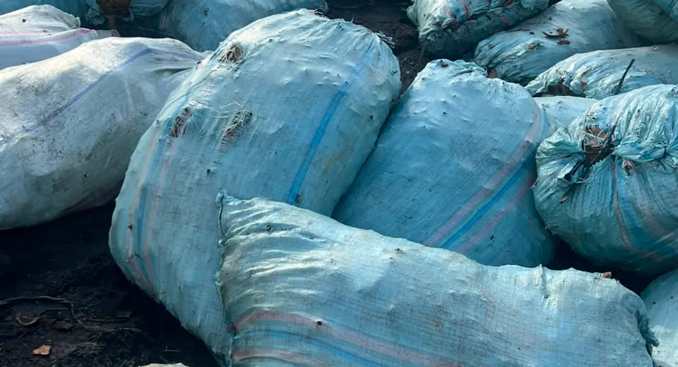 Charcoal packed into woven sacks at the production yard