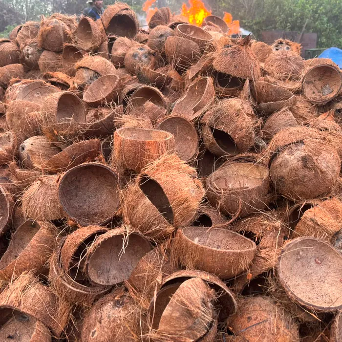 Coconut shell stockpile beside the kiln