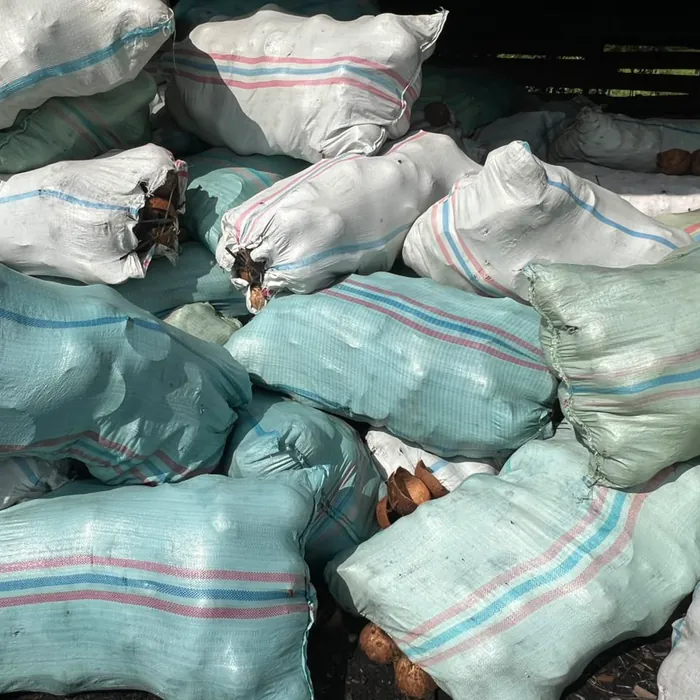Coconut shells packed in woven sacks