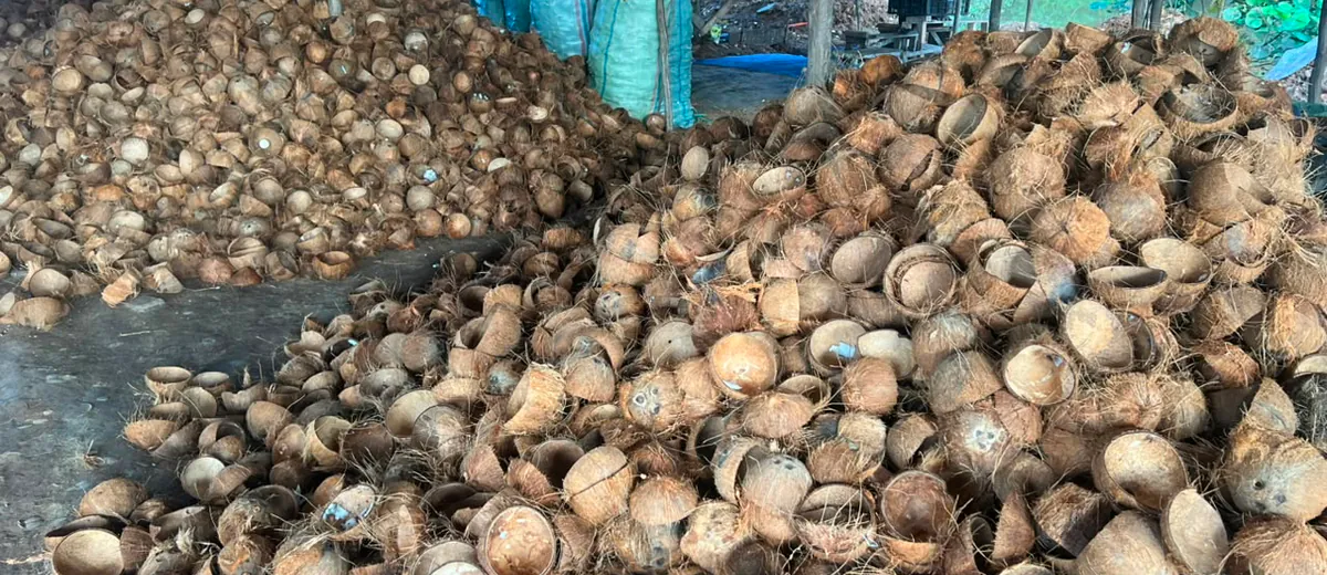 Covered supply shed stacked with coconut shells